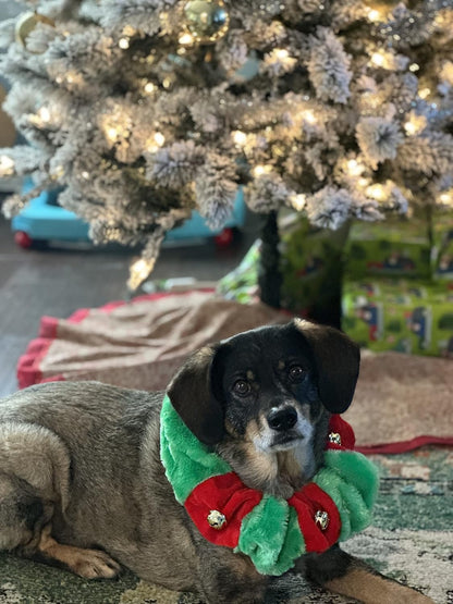 Red/Green Christmas Plush Bell Collar (Small)