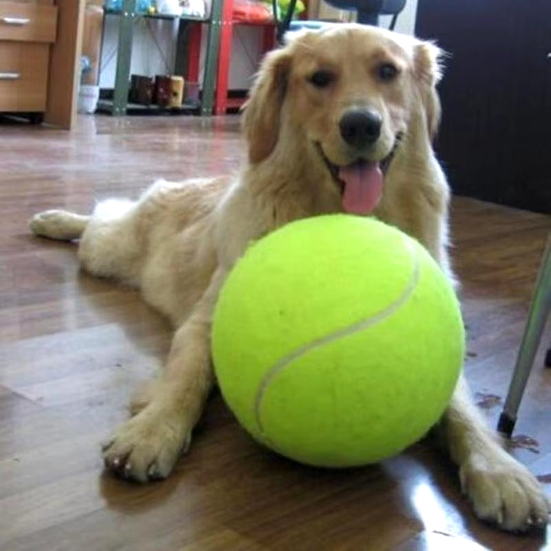 24CM Giant Tennis Ball for Dog Chew Toy Pet Dog Interactive Toys Big Inflatable Tennis Ball Pet Supplies Outdoor Cricket Dog Toy