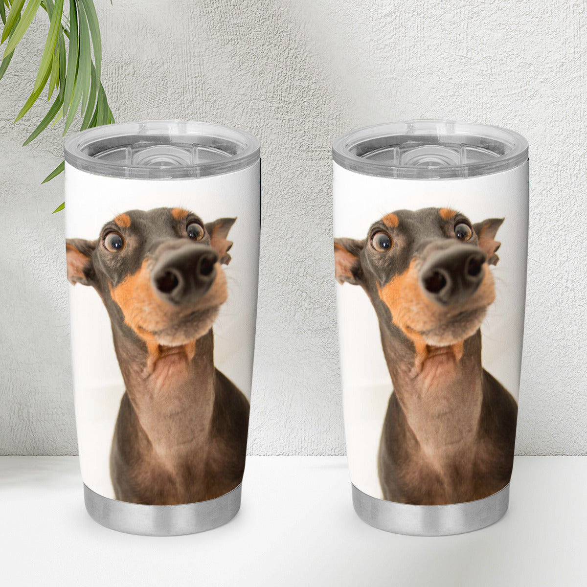 Tumbler 20 Oz Mini Doberman