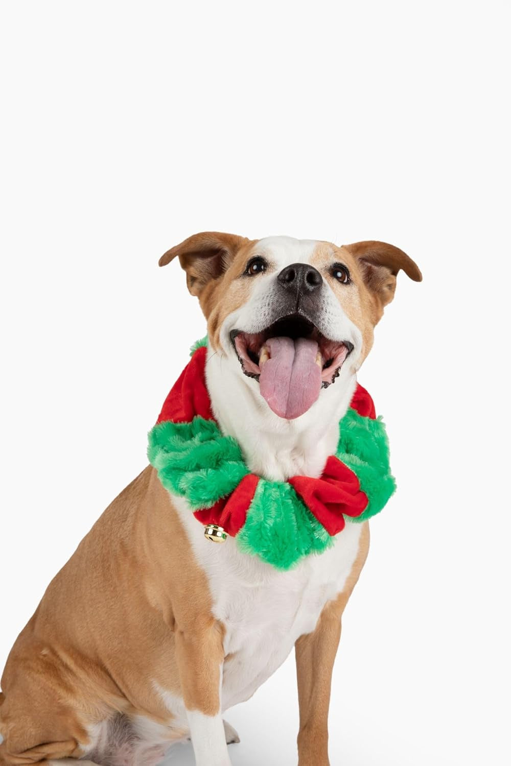 Red/Green Christmas Plush Bell Collar (Small)