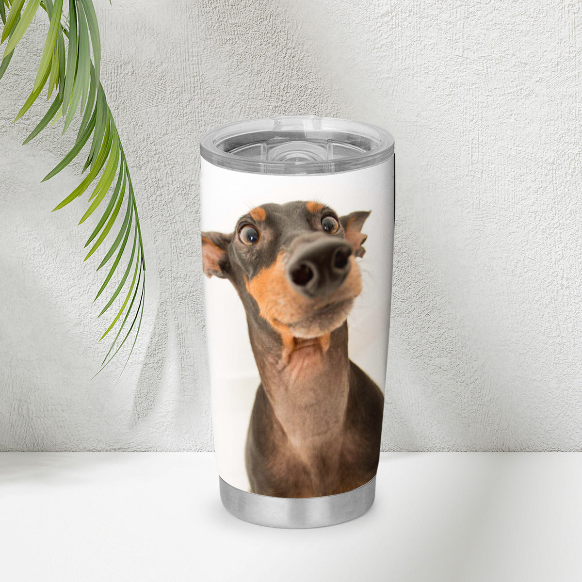 Tumbler 20 Oz Mini Doberman