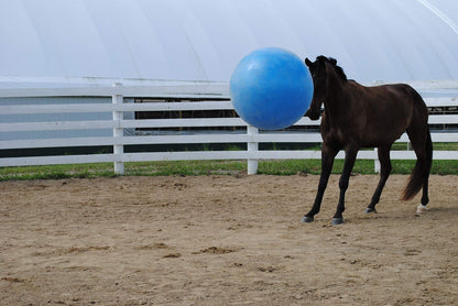 Horsemen'S Pride 30-Inch Mega Ball for Horses, Blue