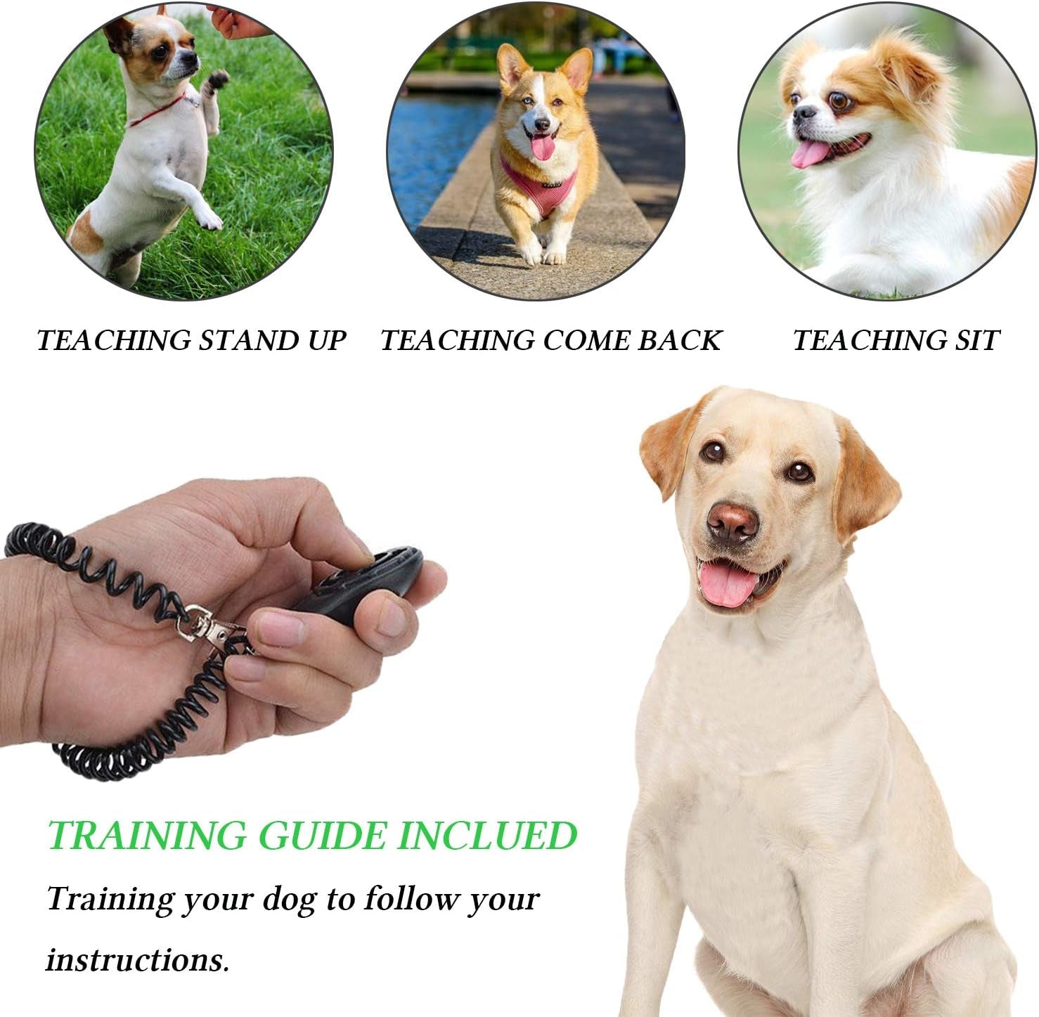 4-In-1 Dog Training Set, Puppy Training Treats- Dog Treat Training Pouch, Dog Whistle, Dog Doorbells, Dog Clicker, Ideal Gift for First Time Pet Owners, Training Dog Owners (Black)