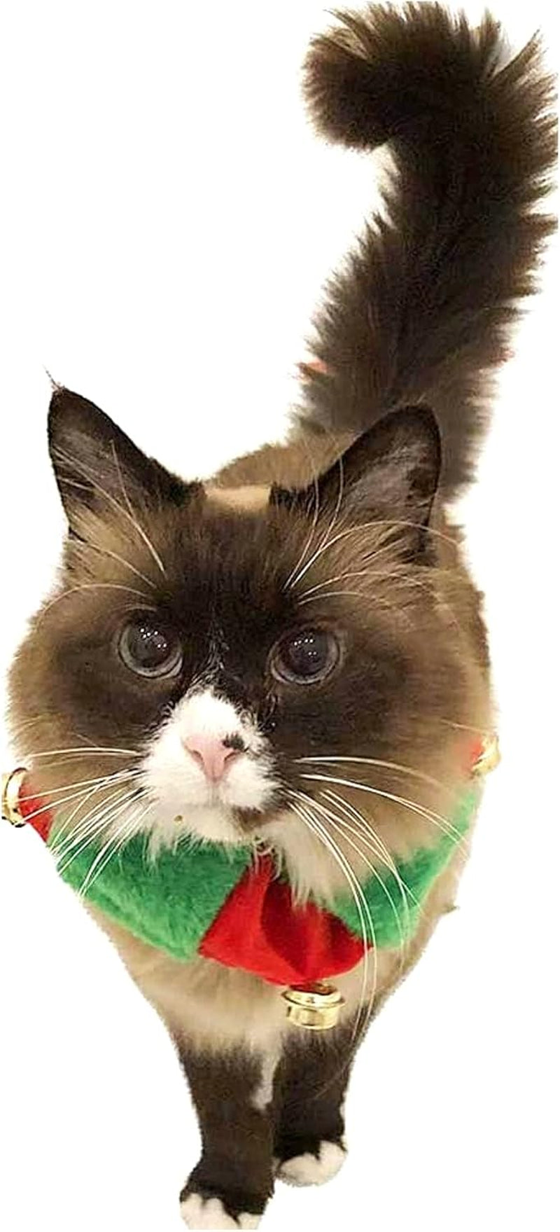 Red/Green Christmas Plush Bell Collar (Small)