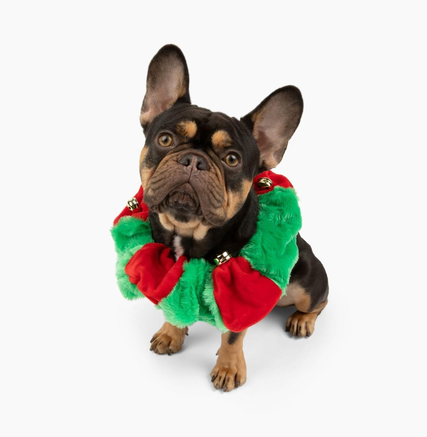 Red/Green Christmas Plush Bell Collar (Small)