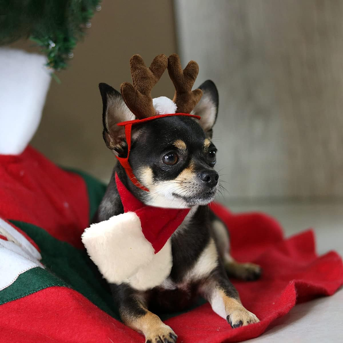 Pet Christmas Costumes for Cats Small Dogs, Cat Reindeer Antlers Headband with Xmas Scarf, Adjustable Doggie Reindeer Hat Santa Scarf, Kitten Christmas Outfit Cosplay