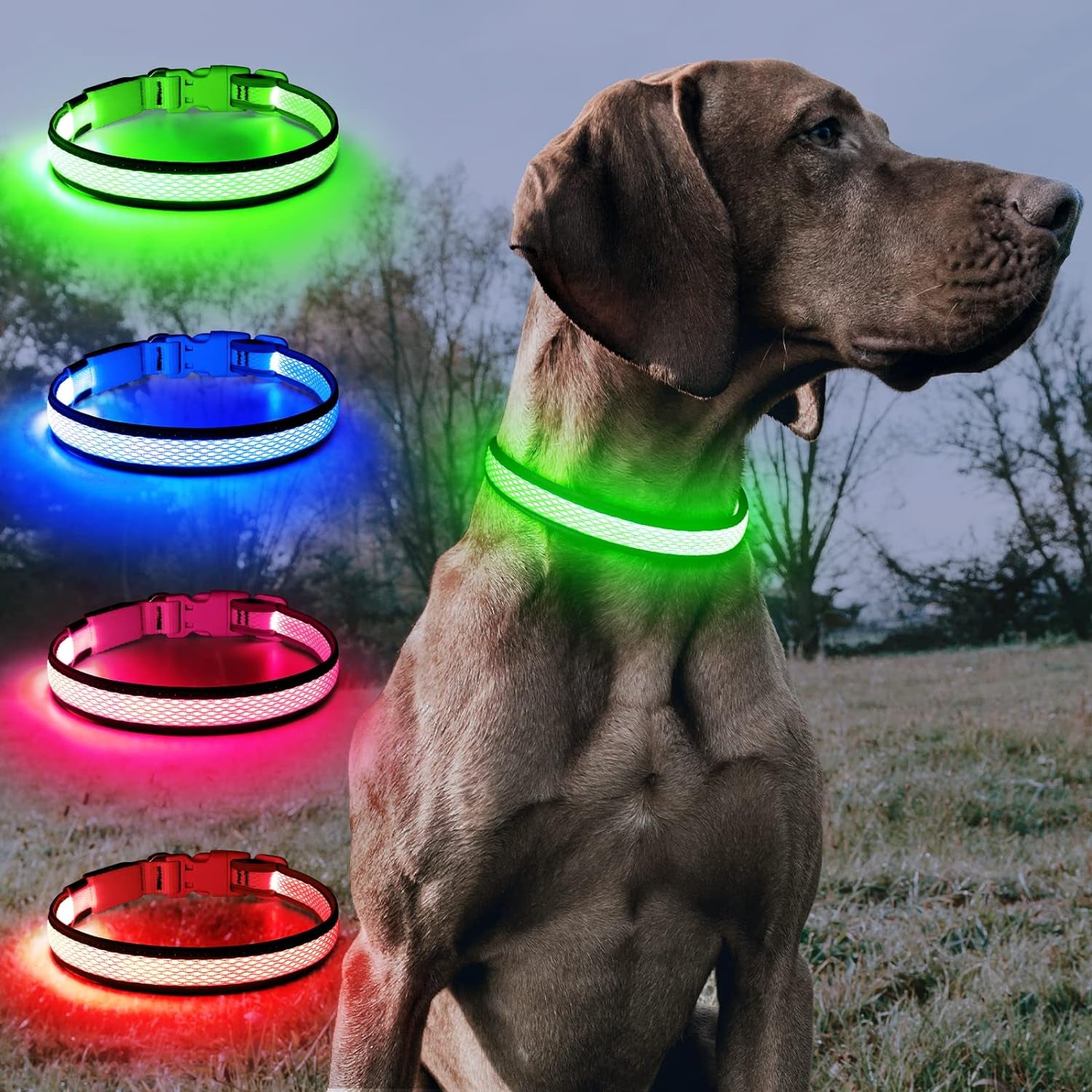 Light up Dog Collars - Rechargeable LED Dog Collar, Reflective Dog Collar for Medium Dogs, Adjustable Lighted Pet Collar, Glowing Dog Lights for Night Walking (Green, Medium)