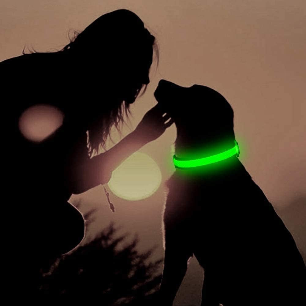 Light up Dog Collars - Rechargeable LED Dog Collar, Reflective Dog Collar for Medium Dogs, Adjustable Lighted Pet Collar, Glowing Dog Lights for Night Walking (Green, Medium)