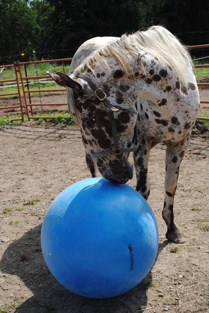 Horsemen'S Pride 30-Inch Mega Ball for Horses, Blue