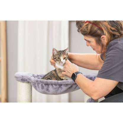 Gray Baza Scratching Post with Hammock