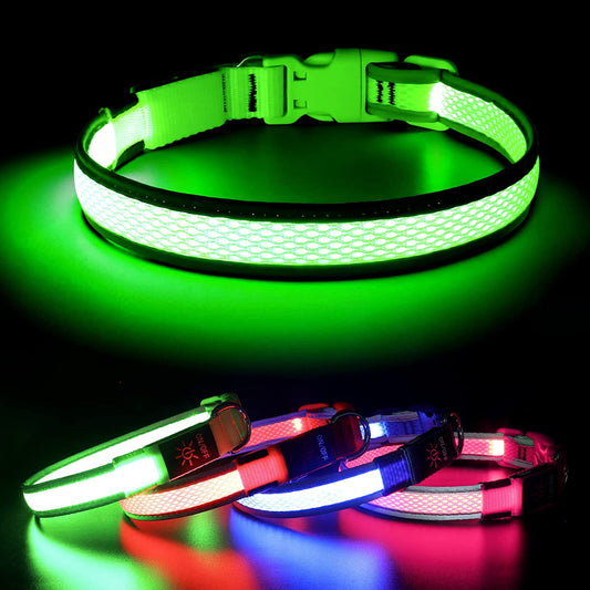 Light up Dog Collars - Rechargeable LED Dog Collar, Reflective Dog Collar for Medium Dogs, Adjustable Lighted Pet Collar, Glowing Dog Lights for Night Walking (Green, Medium)