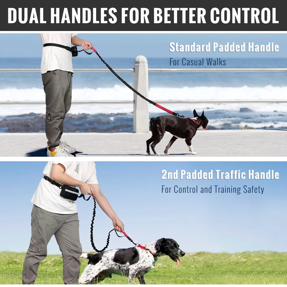 Hands Free Dog Leash, Soft Padded Dual Handle and Reflective