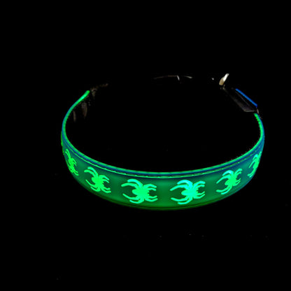 DOGLED Flashing LED Dog Collar Small Blue Fits 11.8-15.7" Neck NEW Spider