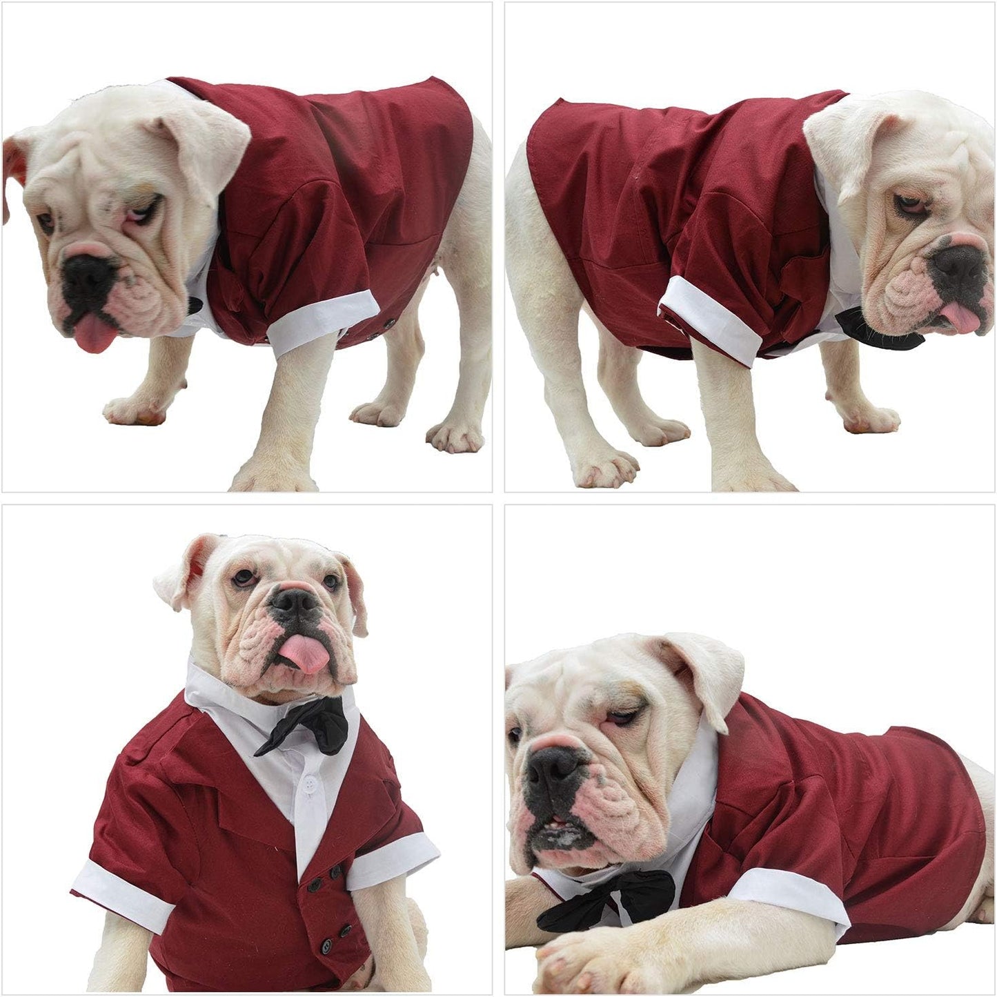 Lovelonglong Bulldog Costume Dog Suit Formal Tuxedo with Black Bow Tie Wedding Clothes for Pugs/French Bulldog Brown B-S