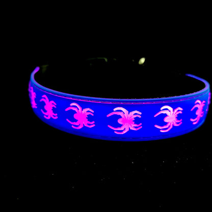 DOGLED Flashing LED Dog Collar Small Blue Fits 11.8-15.7" Neck NEW Spider