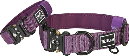 Stellar Ménage Premium Dog Collar Tactical Collar Sz 3 Purple Fits Neck 10-11.5"