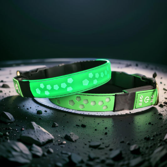 DOGLED Flashing LED Dog Collar Medium Green Fits 15.7-19.7" Neck NEW Pentagon