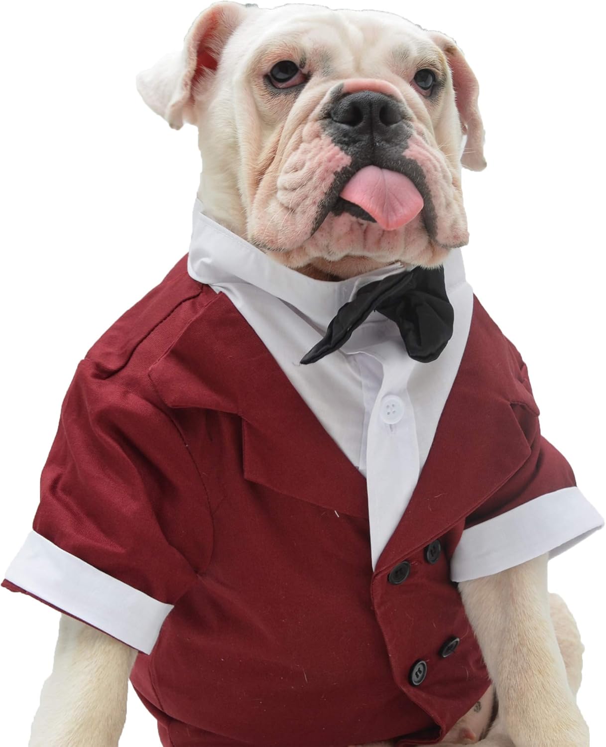 Lovelonglong Bulldog Costume Dog Suit Formal Tuxedo with Black Bow Tie Wedding Clothes for Pugs/French Bulldog Brown B-S